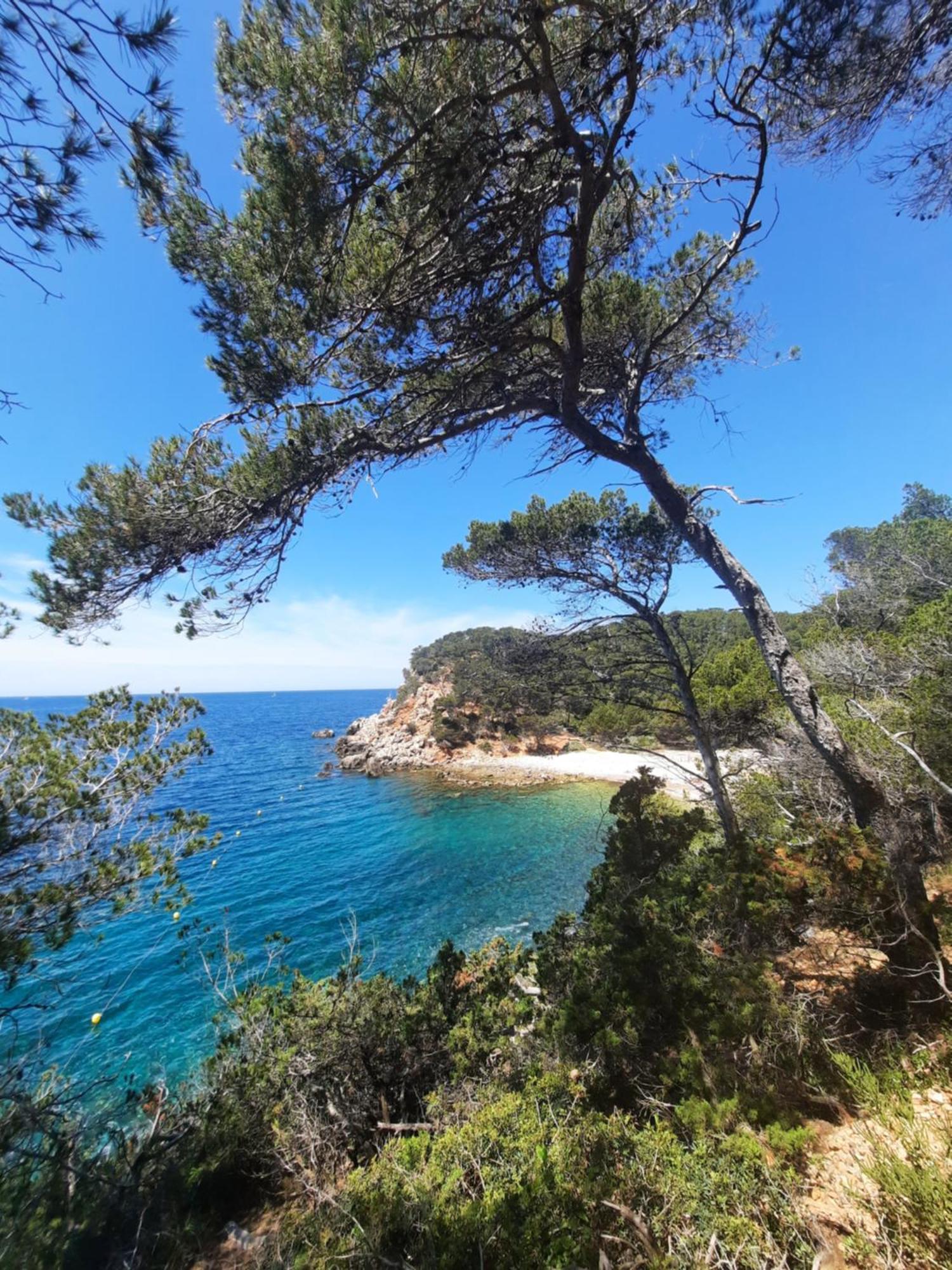 Maison Independante Avec Piscine Privative Pres De La Mer La Garde  Dış mekan fotoğraf
